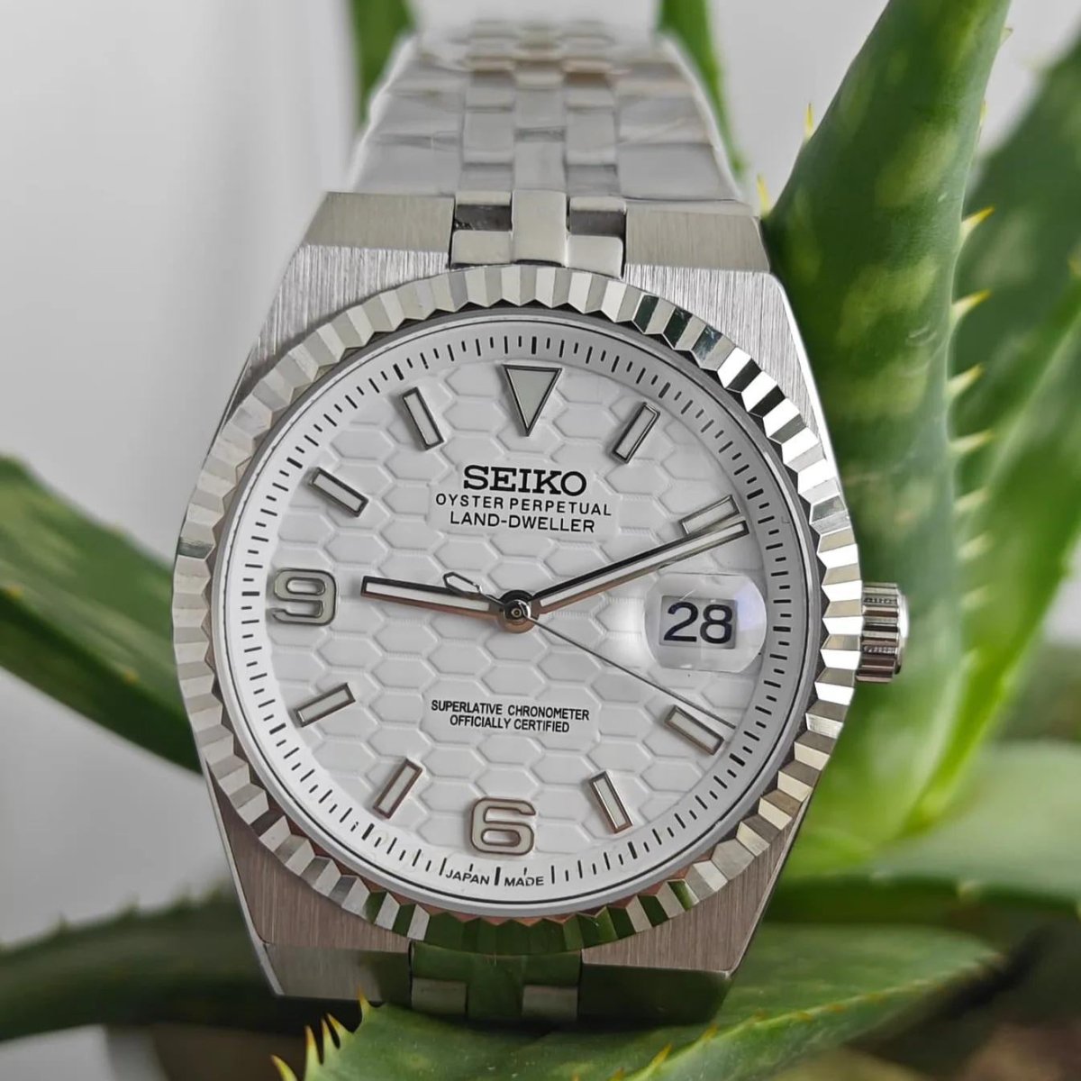Seiko Land Dweller | Fresh White